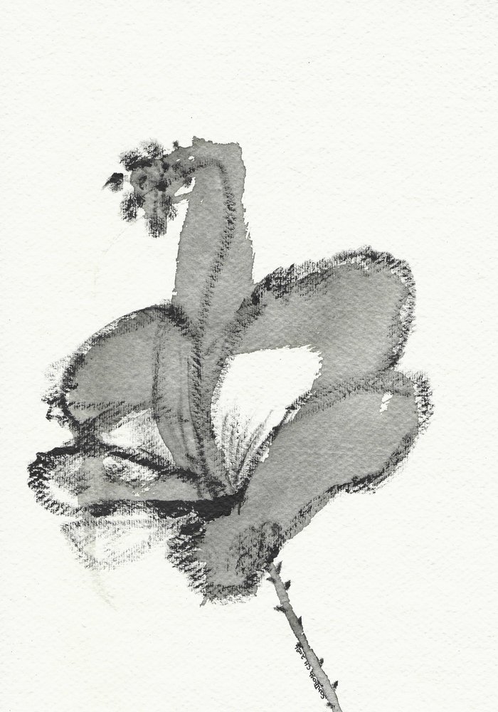 Monokrom blomsterstudie af Santhosh ch