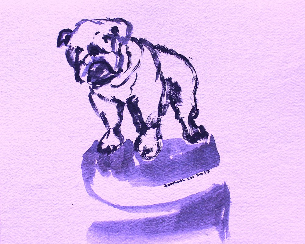 Skitse af en lilla bulldog af Santhosh ch