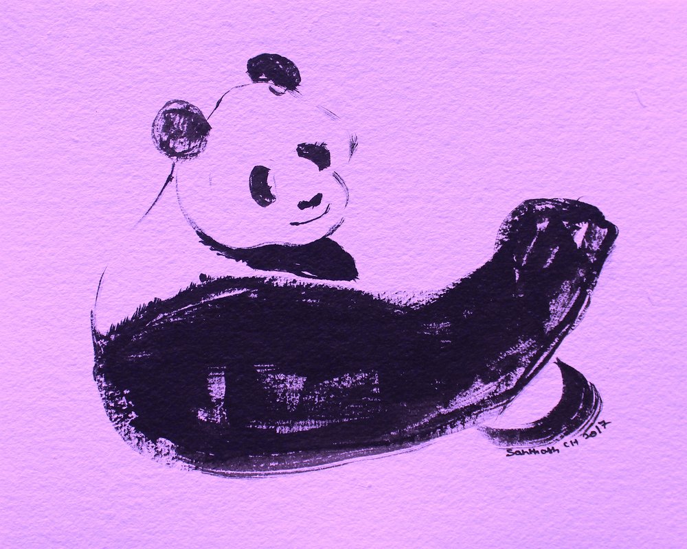 Stærk panda, der viser muskler af Santhosh ch