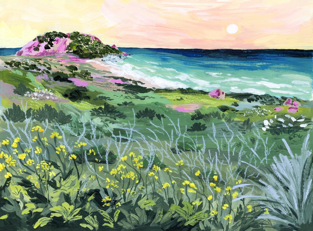 Solnedgang ved Wild Coast af Sarah Gesek