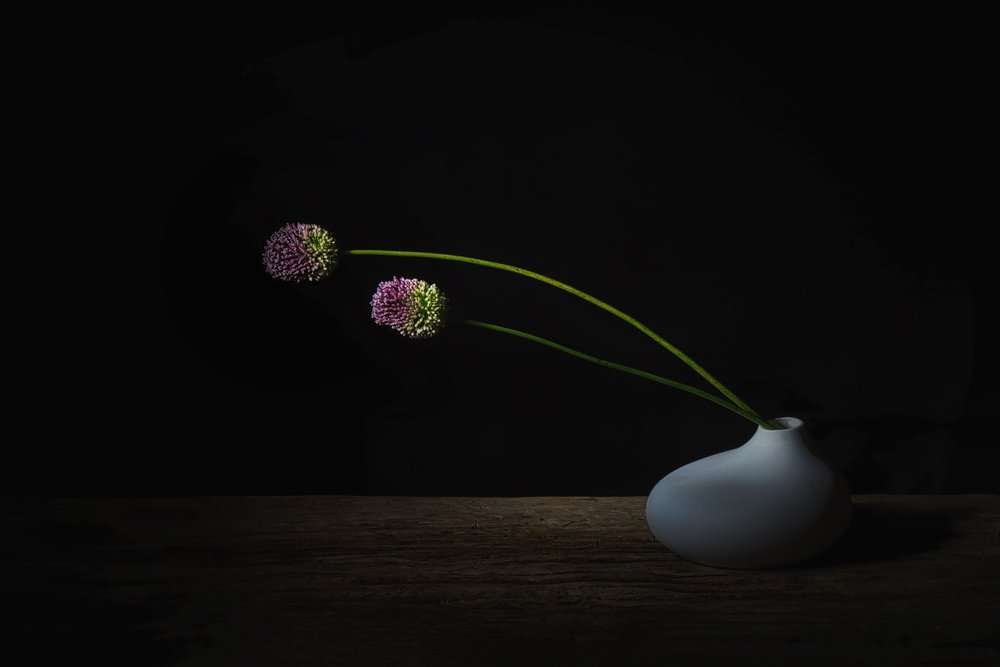 Mørke Allium-blomster af Saskia Dingemans