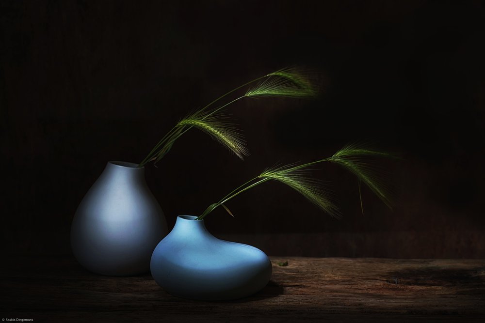 Stilleben med mørkt græs af Saskia Dingemans