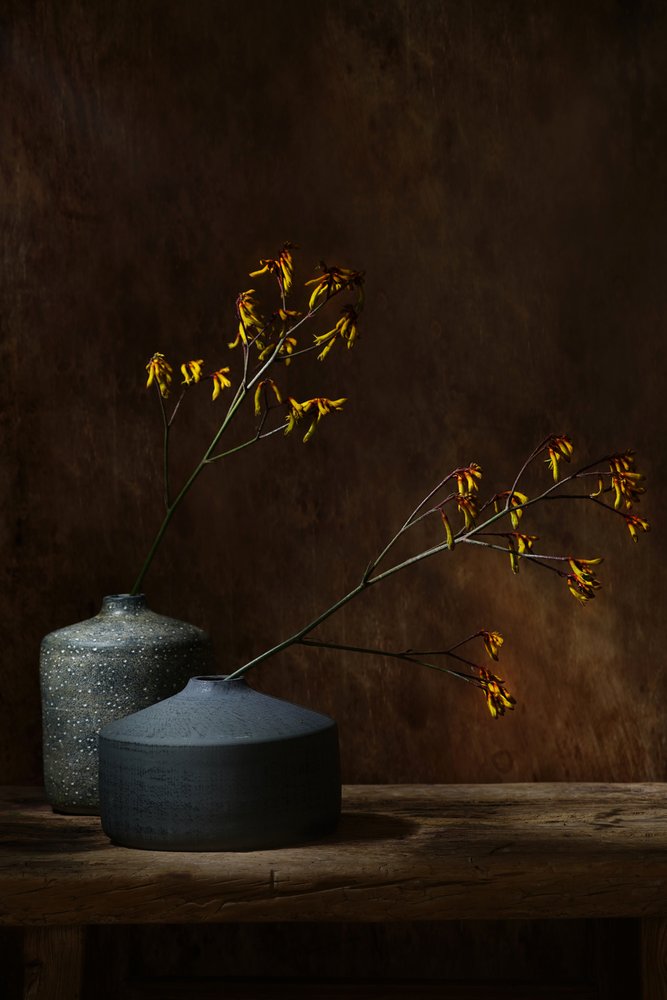 Moody botaniske vaser af Saskia Dingemans