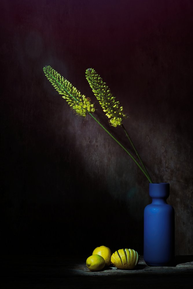 Stemningsfulde gule blomster og citroner af Saskia Dingemans