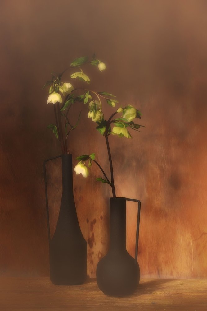 Stille, blomsteragtig elegance af Saskia Dingemans