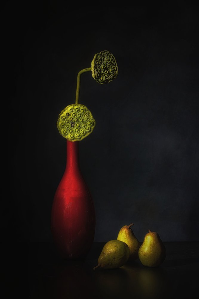 Rød vase med lotus-pærer af Saskia Dingemans