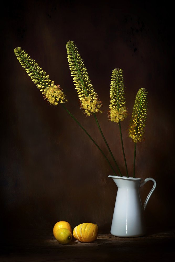 Gule blomster og citroner af Saskia Dingemans