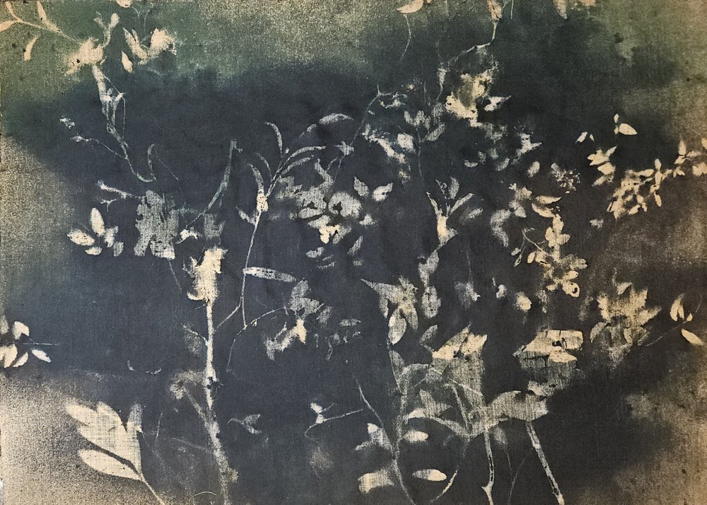 Mørke botaniske silhuetter af Stefano Mazzolini