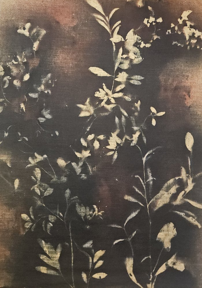 Mørke botaniske silhuetter af Stefano Mazzolini