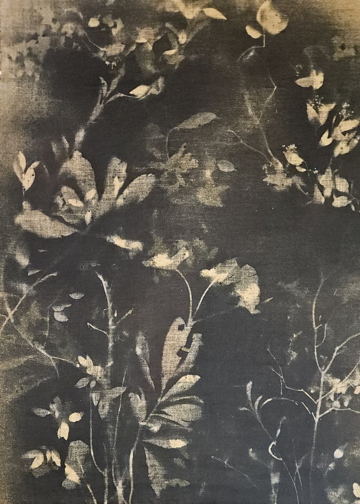 Mørk botanisk studie af Stefano Mazzolini