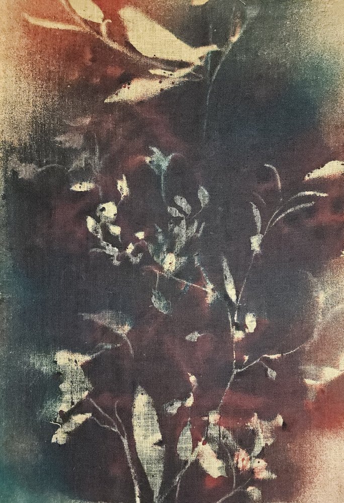 Stemningsfulde botaniske grene af Stefano Mazzolini