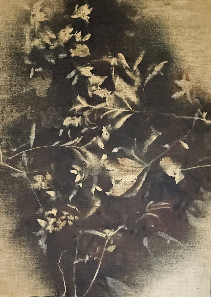 Stemningsfulde blomsterskygger af Stefano Mazzolini