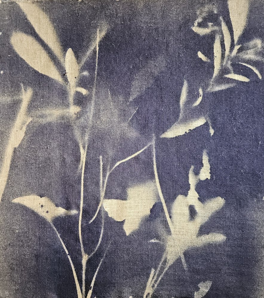 Vintage botaniske blå nuancer af Stefano Mazzolini