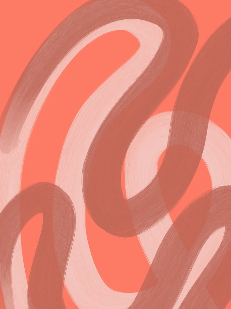 Abstrakt: Coral Flow af Studio Palette