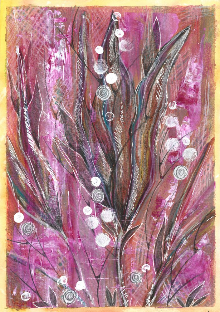 Levende magenta-farvede planter af Sunet Theron