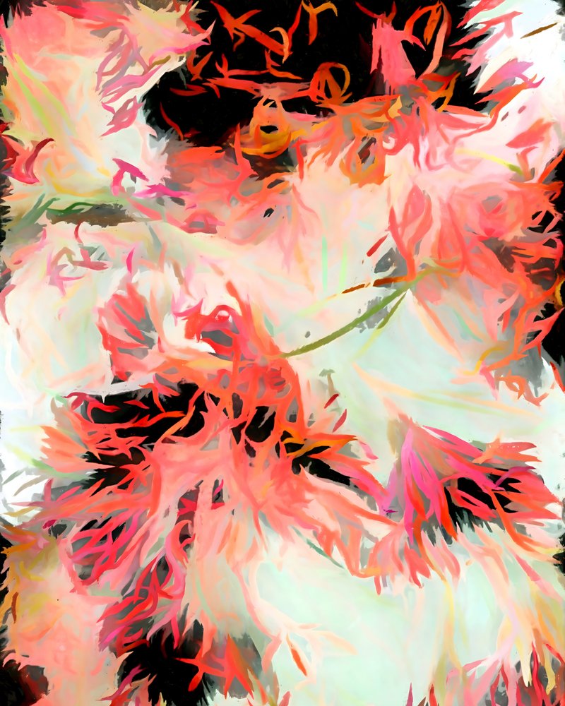Livligt, blomsterinspireret abstrakt motiv af Uma Gokhale