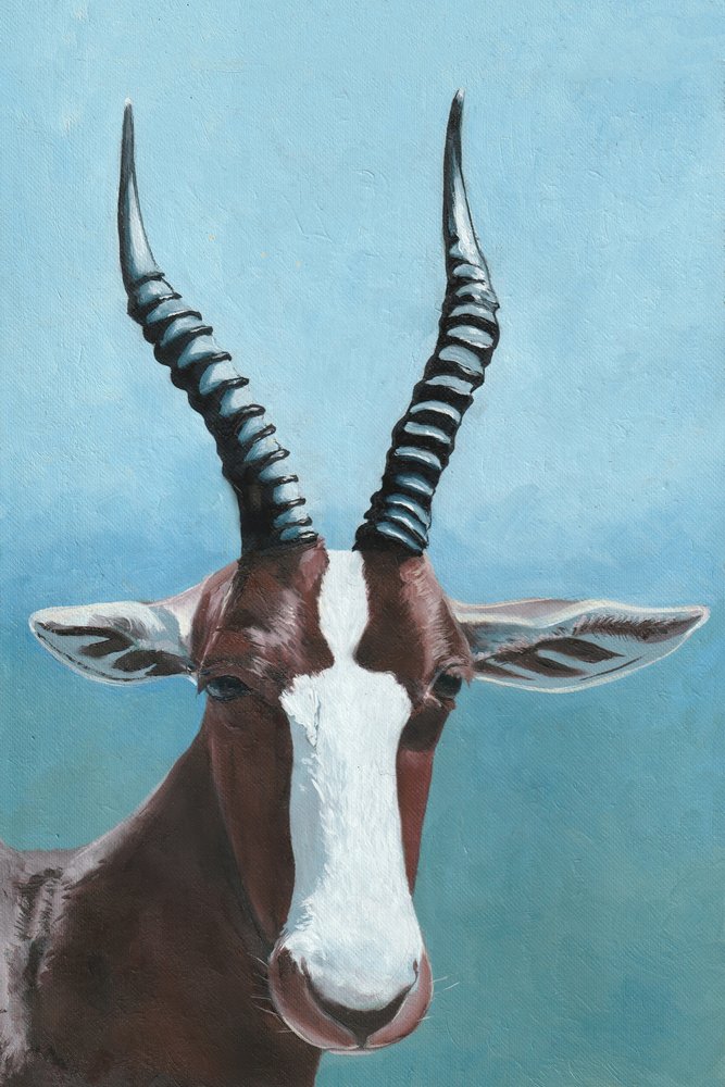 Blesbok-antilopens blik af Viccy Wanliss
