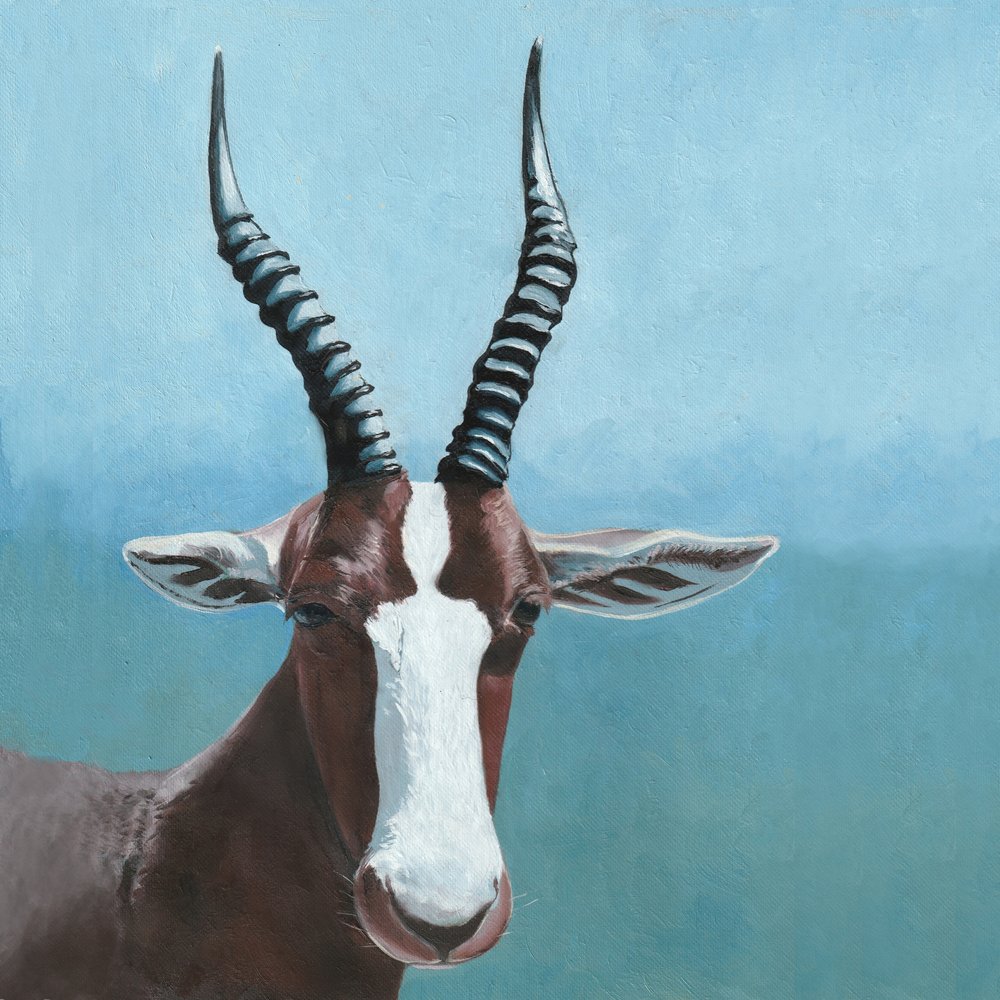 Blesbok-antilopens blik af Viccy Wanliss