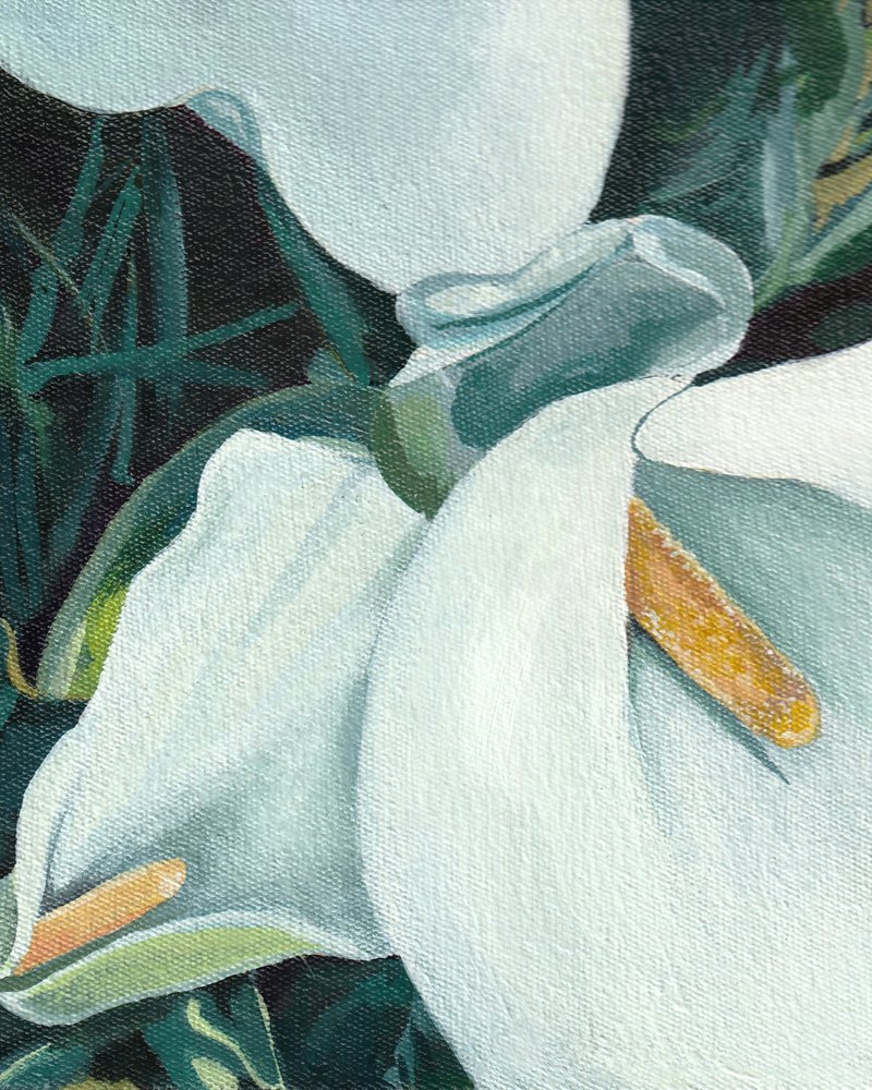 Elegante calla-liljer af Viccy Wanliss