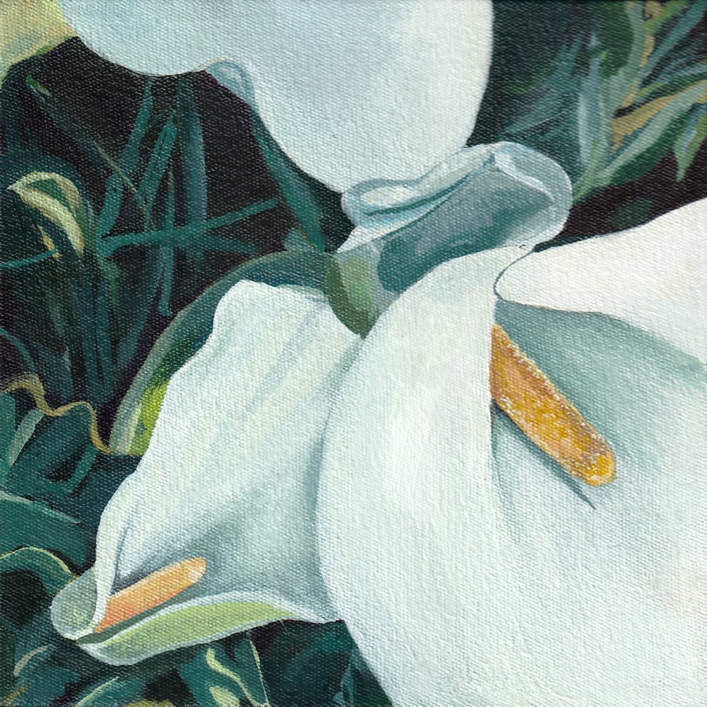 Elegante calla-liljer af Viccy Wanliss