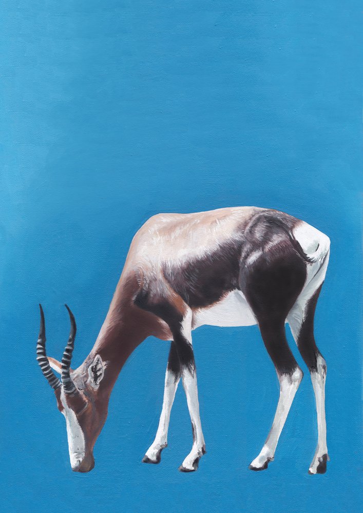 Græssende blesbok-antilope af Viccy Wanliss