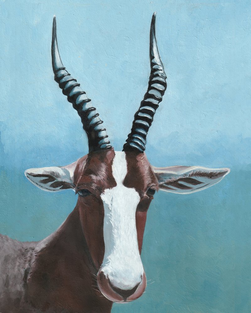 Den malede blesboks blik af Viccy Wanliss