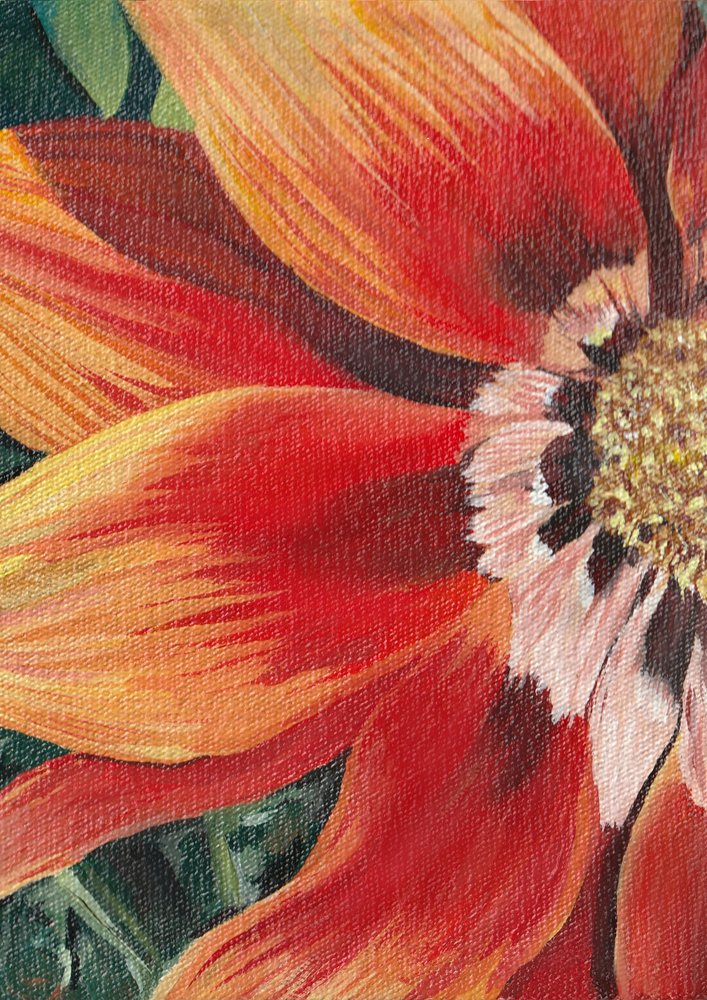 Strålende orange blomst af Viccy Wanliss