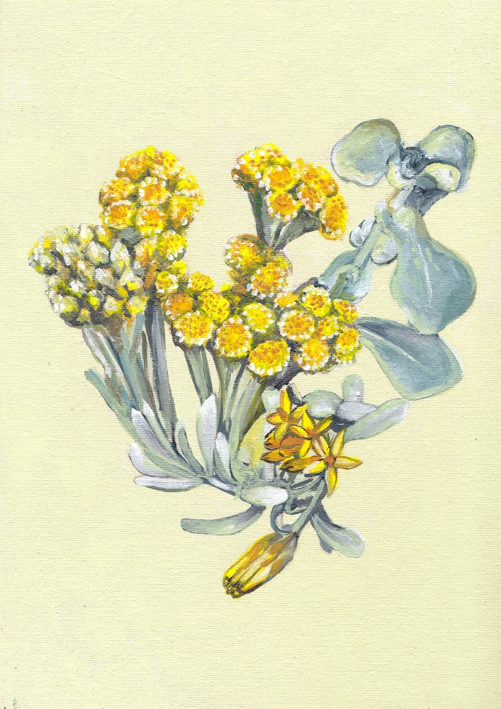  af Viccy Wanliss