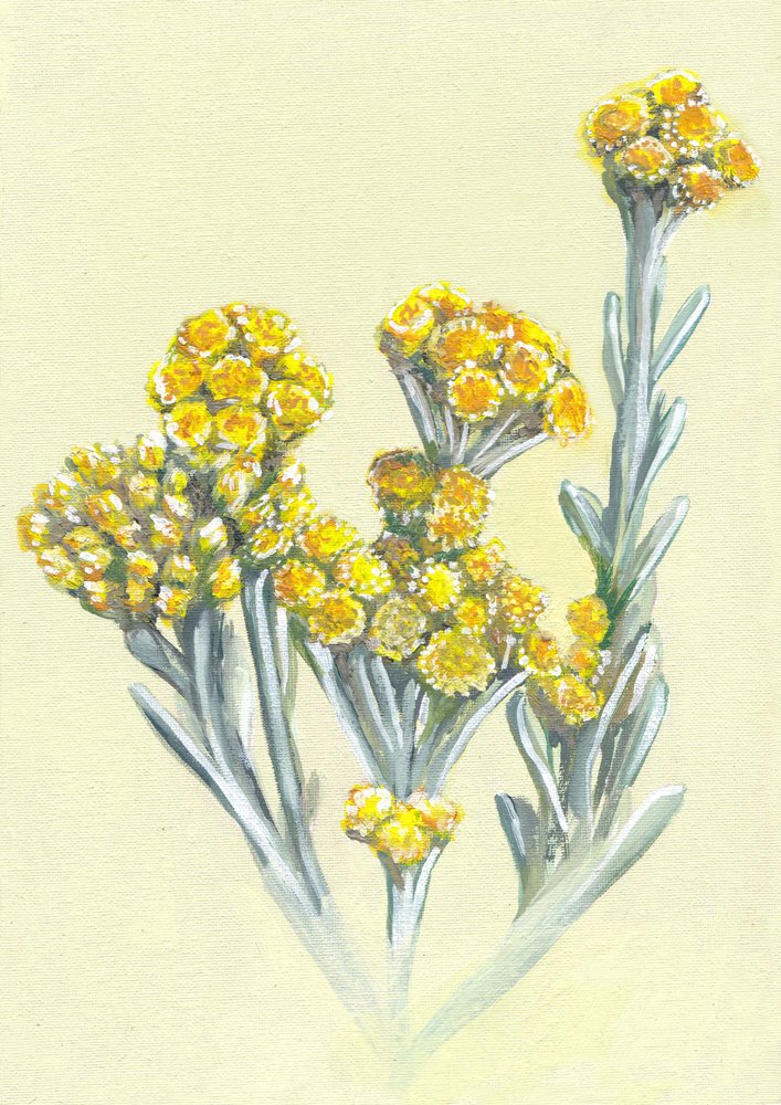  af Viccy Wanliss
