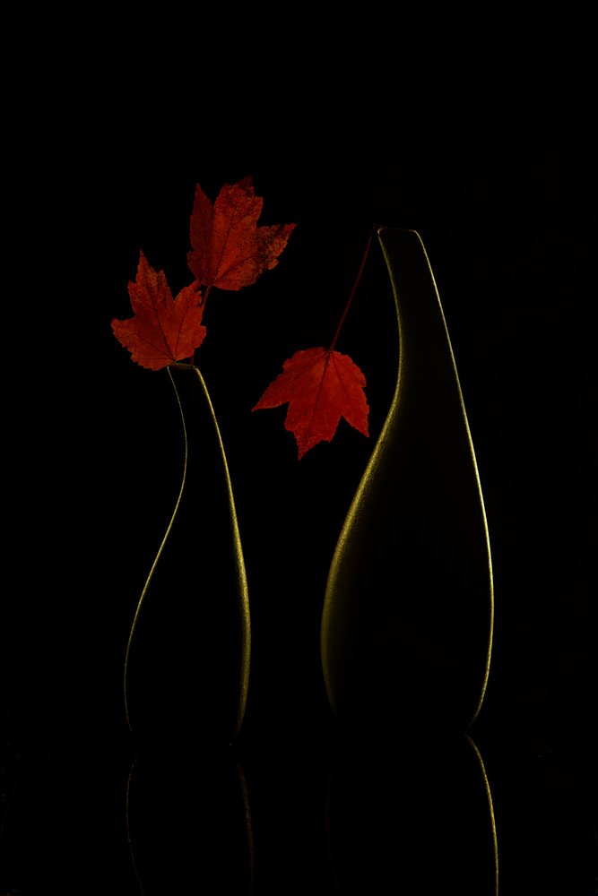  af Wendy Xu