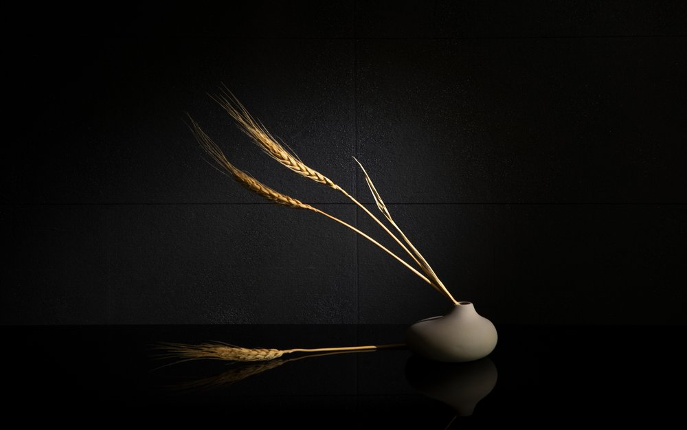  af Wendy Xu
