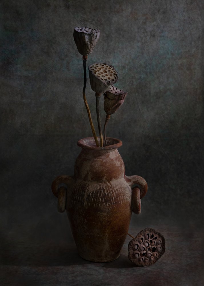  af Wendy Xu