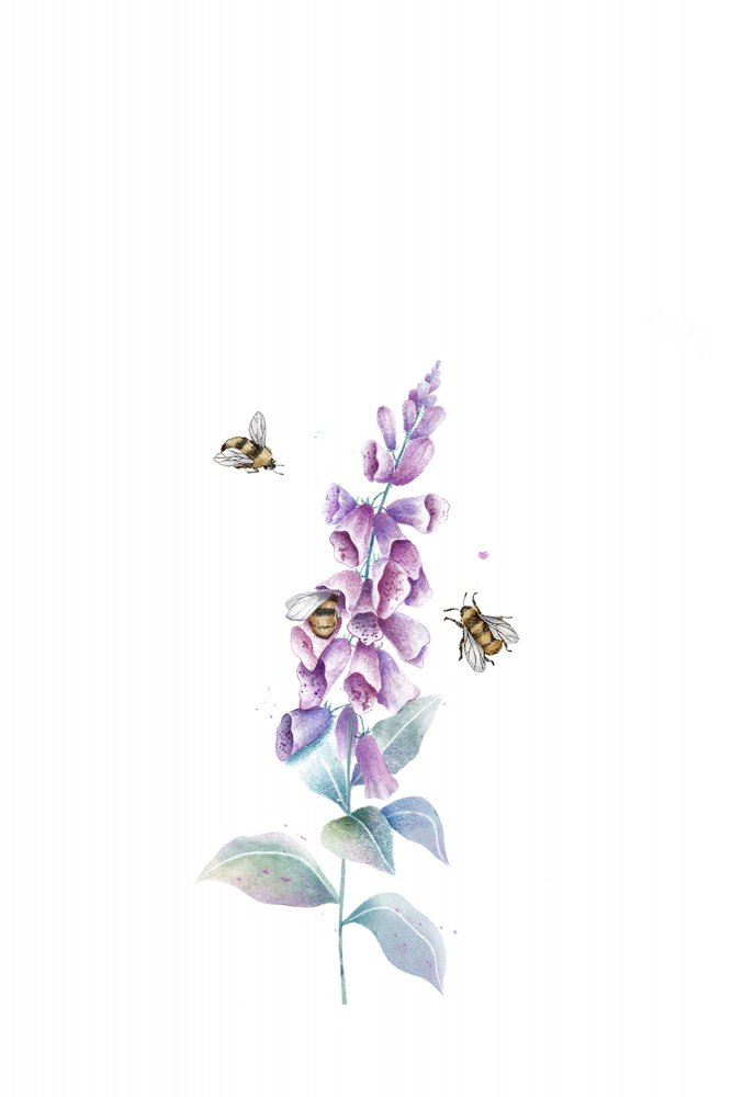 Akvarel: Bier og blomster af Xuan Thai