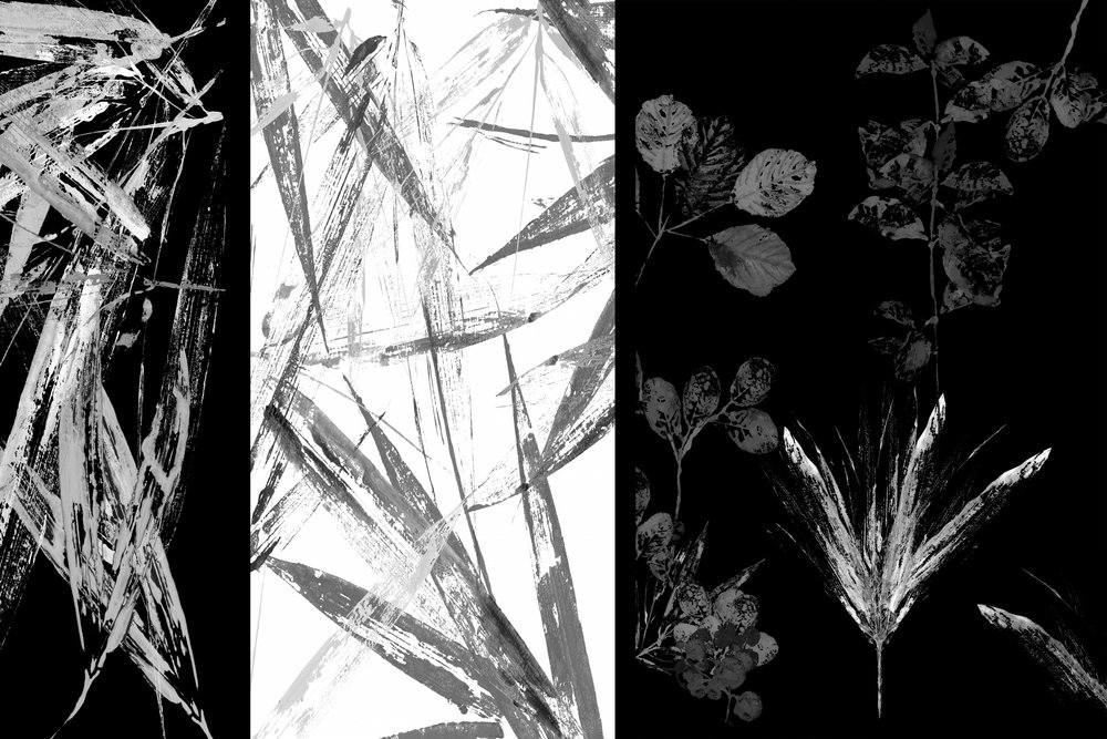 Botaniske penselstrøg af cartissi