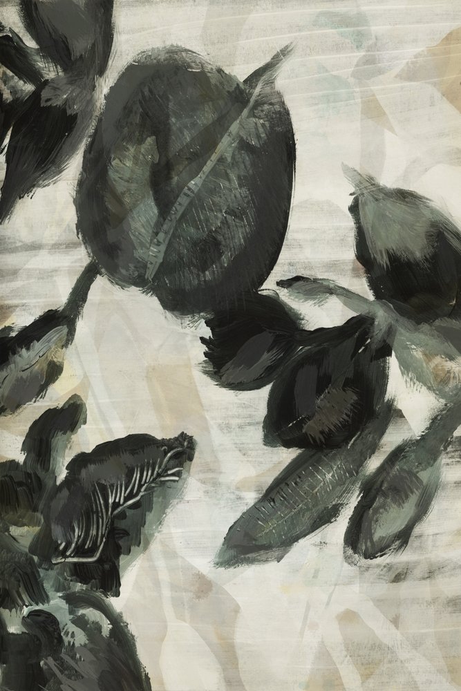Mørke botaniske blade af cartissi