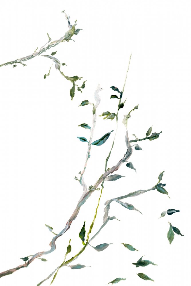 Spinkle grønne grene af cartissi