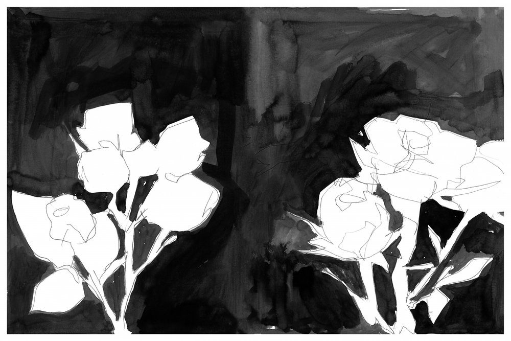 Elegante nattblomster af cartissi