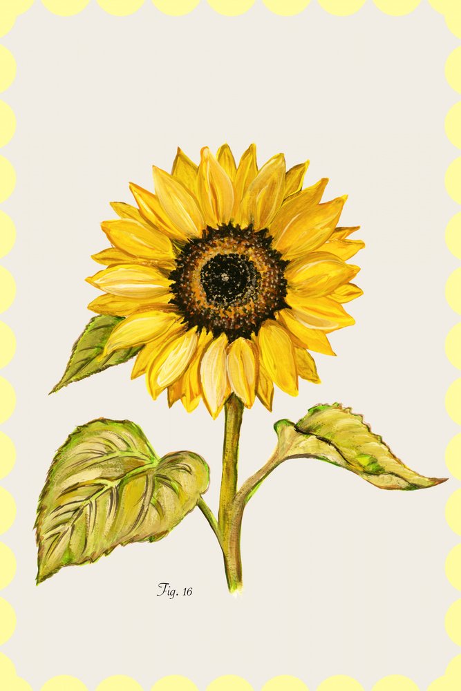 Golden Sunflower Botanical af cartissi