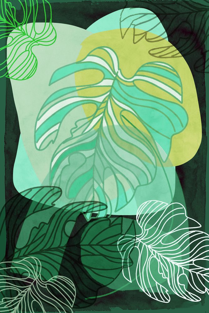Grøn økologisk Monstera af cartissi