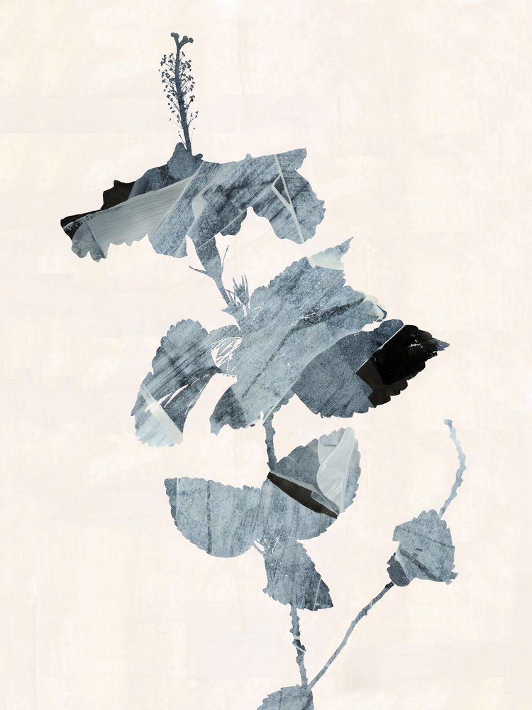 Hibiscusblomst – abstrakt af cartissi