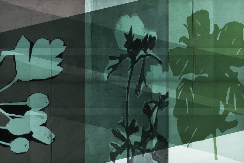 Lagdelte botaniske skygger af cartissi