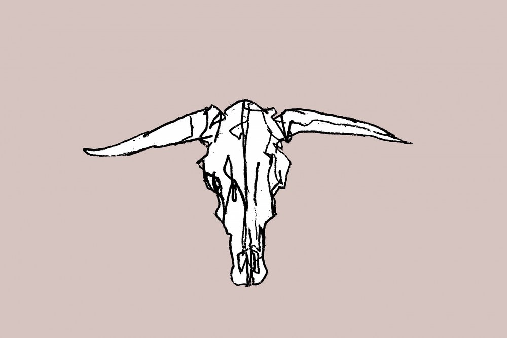Minimalistisk Longhorn-kranium af cartissi