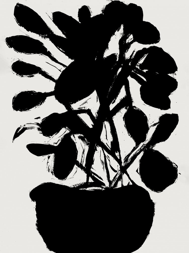 Minimalistisk potteplante af cartissi