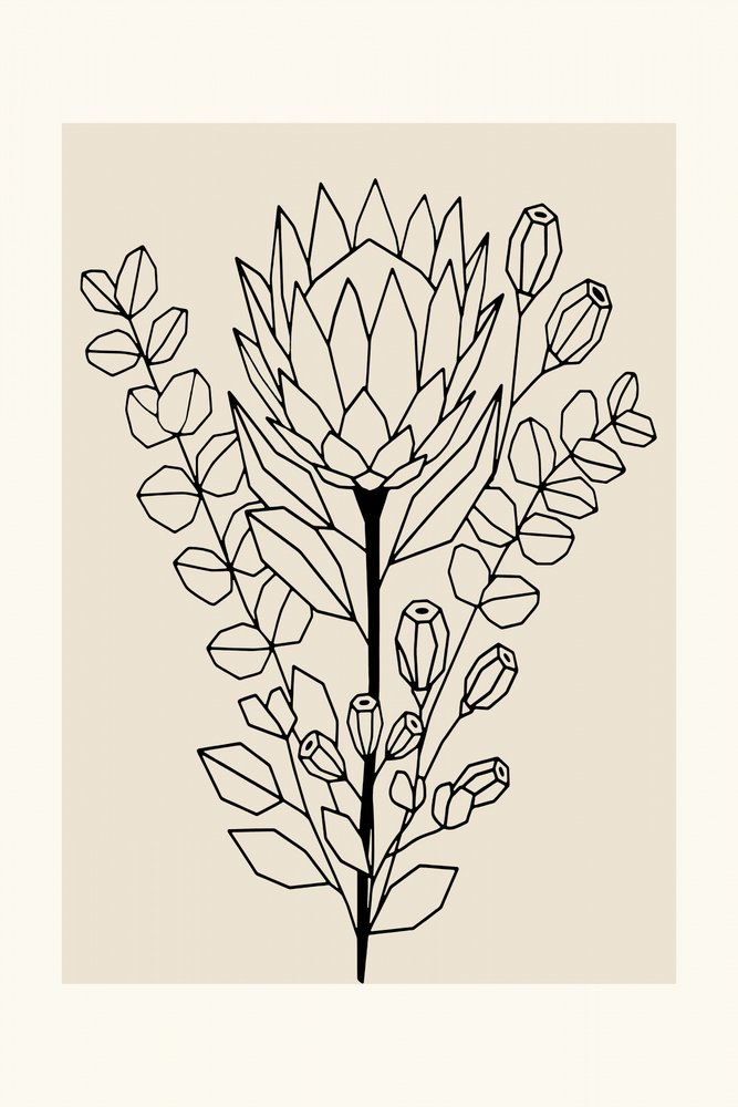Minimalistisk Protea og eukalyptus af cartissi
