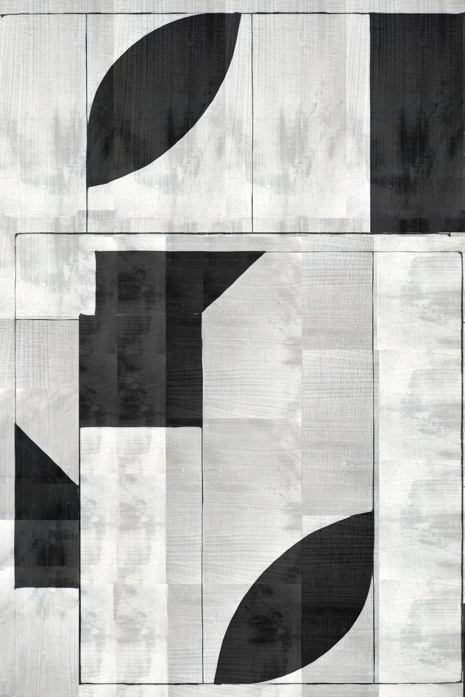 Moderne geometrisk monokrom af cartissi