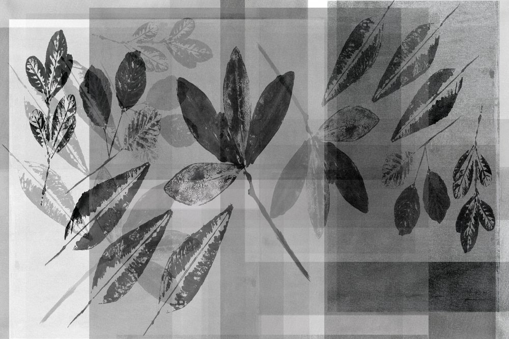 Monokrome botaniske lag af cartissi