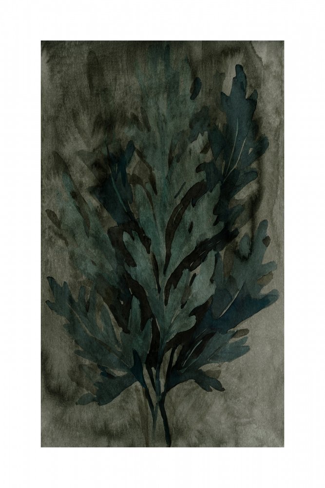 Stemningsfulde botaniske blade af cartissi