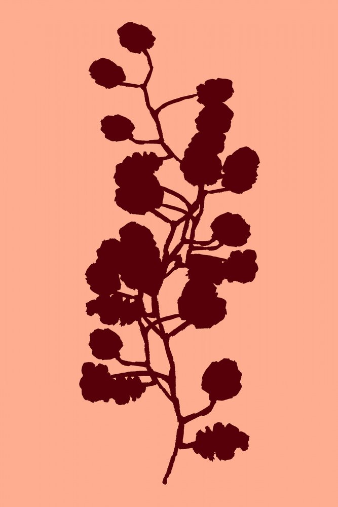 Fersken – botanisk silhuet af cartissi