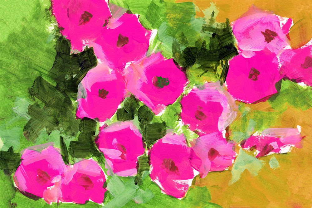 Blomster i den lyserøde have af cartissi
