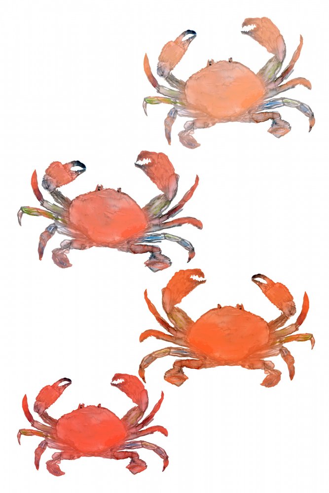 Fisk og skaldyr – Krabber – Akvarel af cartissi
